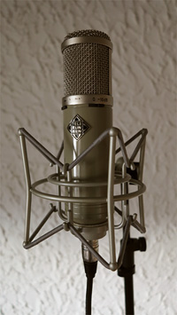 Fox Audio Research nachempfundenes ELA M251