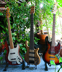 Drei Bässe: Ein halber Fender Jazzbaß, Santander 6 String, Tanglewood.